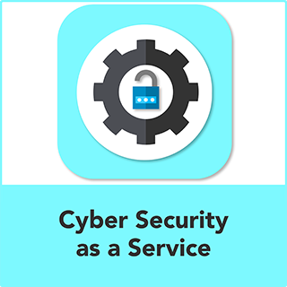 Cyber Security as a Service